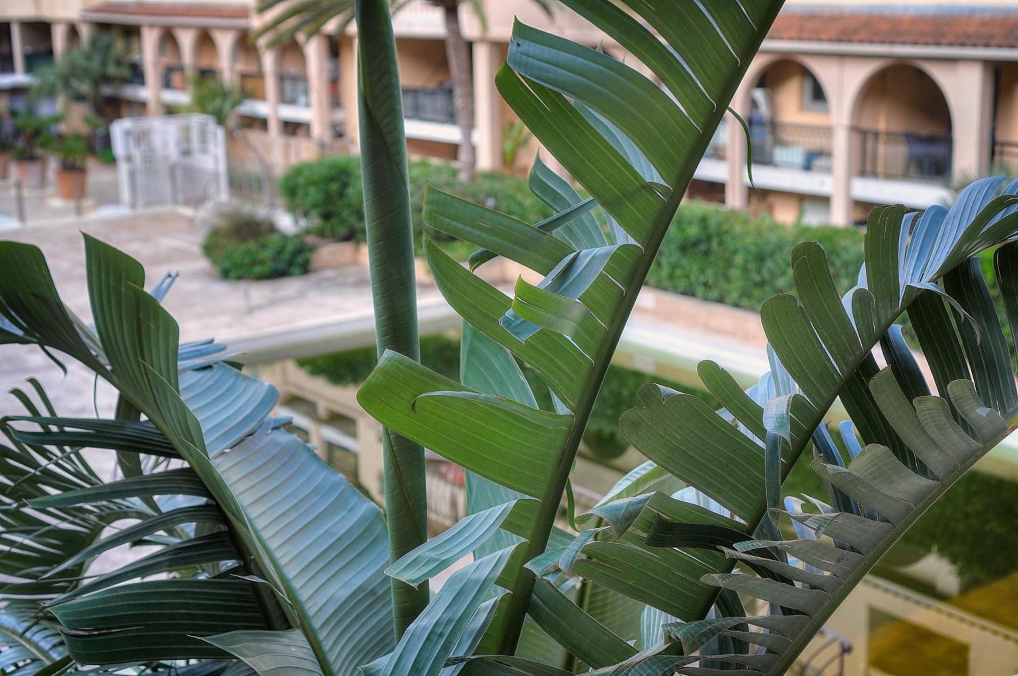 Les Cinq - 2 Min Mer - Piscine - Terrasse - Vca Apartment Cannes